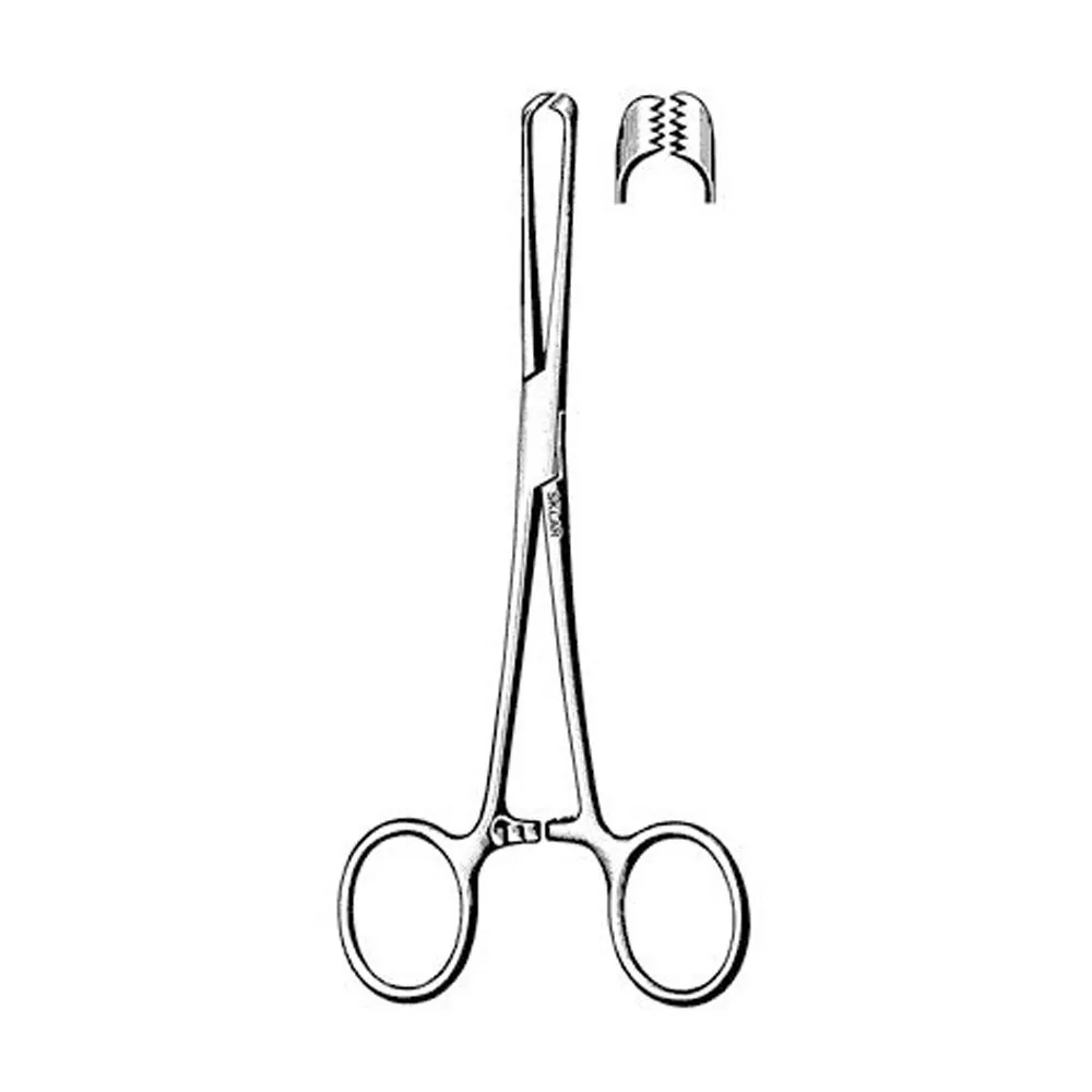 GDC Tissue Forceps Adson Serrated (12cm) (Tp41) — Teethment catalog guide