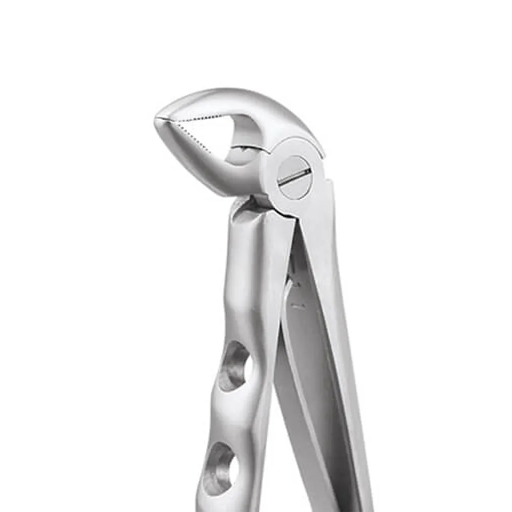 GDC Extraction Forceps Lower Roots Pedo Premium (Fx3cp) — Teethment catalog guide