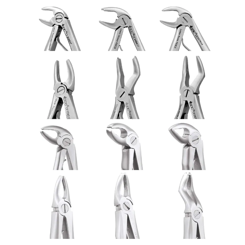 GDC Extraction Forceps Upper Molars Pedo Premium (FX6CP) — Teethment catalog guide