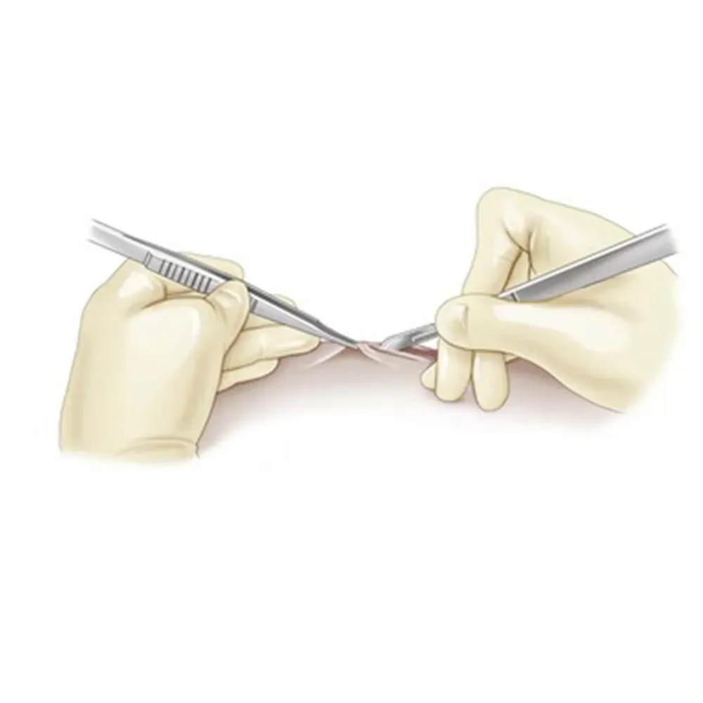 GDC Micro Tissue Forceps Curved (18cm) (TPSLCOCMN) — Teethment catalog guide